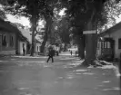 Medevi brunn var ännu välbesökt när fotografen besökte platsen 1906. Ändå en atmosfär av stilla lunk i frånvaron av yttre störningar. Plakatet på trädet annonserar att 