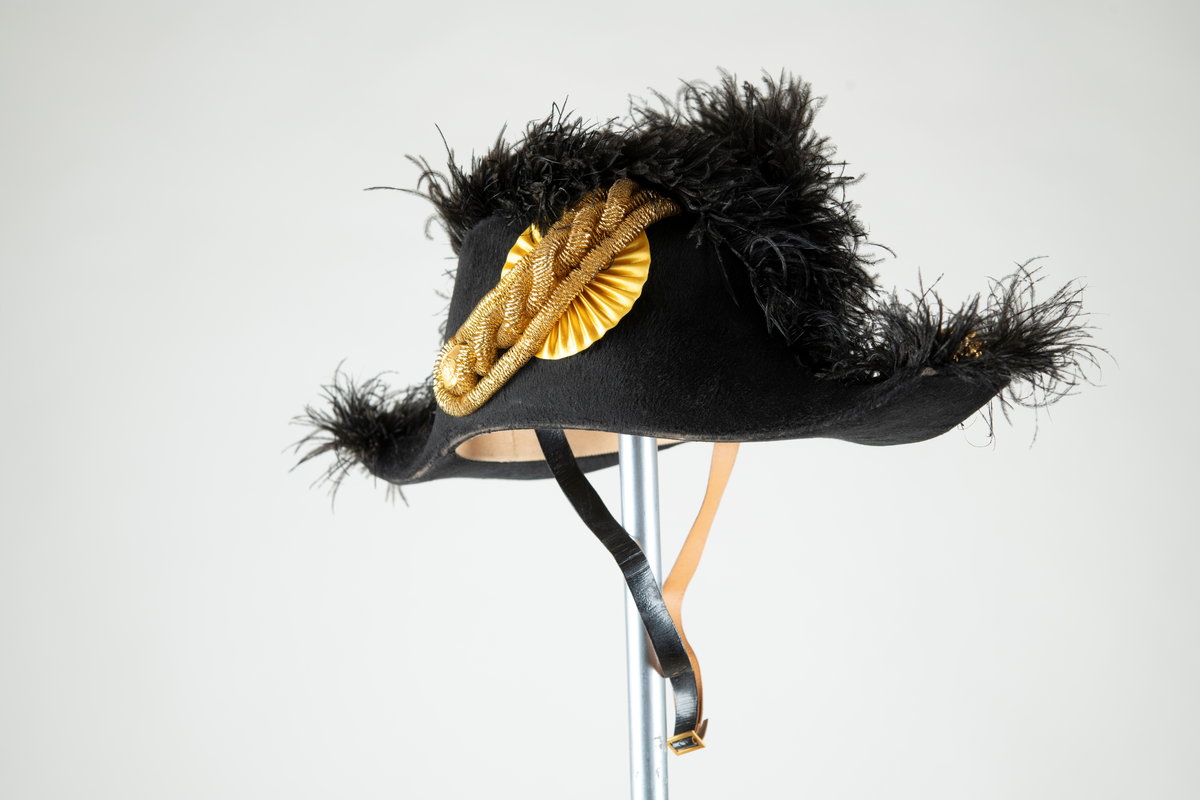 Paradhatt av bikorn-typ, även kallad båthatt, modell 1854 (m/1854). Svart felb på pressad papp. Gulddragarbete på hattens hörn och sida (agraff - bandkokard, dubbelsnöre och knapp/krönt löv). Strutsplym längs brättenas överkanter. Foder av vitt siden, svettrem och hakband av lackskinn.