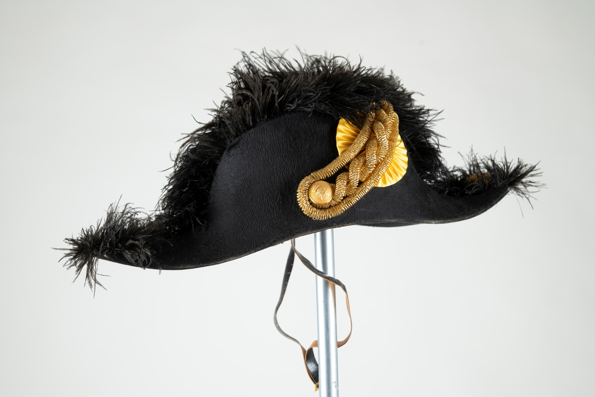 Paradhatt av bikorn-typ, även kallad båthatt, modell 1854 (m/1854). Svart felb på pressad papp. Gulddragarbete på hattens hörn och sida (agraff - bandkokard, dubbelsnöre och knapp/krönt löv). Strutsplym längs brättenas överkanter. Foder av vitt siden, svettrem och hakband av lackskinn.