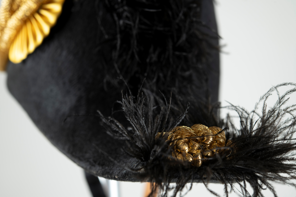 Paradhatt av bikorn-typ, även kallad båthatt, modell 1854 (m/1854). Svart felb på pressad papp. Gulddragarbete på hattens hörn och sida (agraff - bandkokard, dubbelsnöre och knapp/krönt löv). Strutsplym längs brättenas överkanter. Foder av vitt siden, svettrem och hakband av lackskinn.