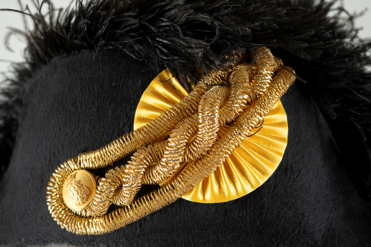 Paradhatt av bikorn-typ, även kallad båthatt, modell 1854 (m/1854). Svart felb på pressad papp. Gulddragarbete på hattens hörn och sida (agraff - bandkokard, dubbelsnöre och knapp/krönt löv). Strutsplym längs brättenas överkanter. Foder av vitt siden, svettrem och hakband av lackskinn.