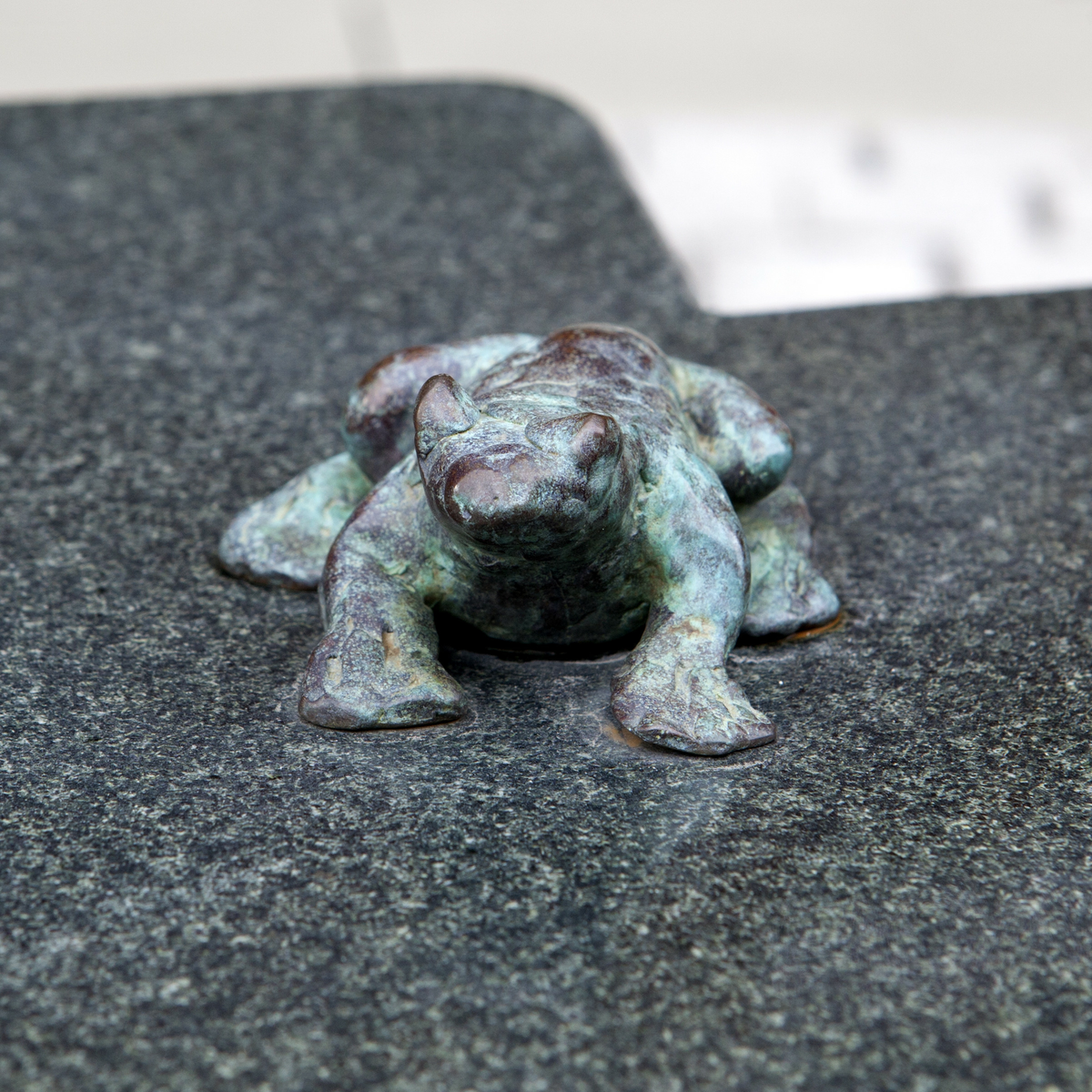 I uteområdet blander skulpturer av den danske billedhuggeren Jørn Rønnau seg med trær, busker og blomster i to separate hagerom. Det ene har kunstneren kalt «Torvet» og satt inn en hel gruppe skulpturer. Blader fra ulike treslag, bjørk, eik, bøk, ask og pil har gitt formmessig inspirasjon til fem sitteskulpturer i polert granitt. På de glatte sitteflatene har Rønnau plassert små bronsefigurer av ekorn, frosk og mus. De bladformete «benkene» er gruppert rundt en sentral bronseskulptur, et rødt kjærlighetens hjerte. Store runde bed for blomster og busker hører også med til kunstnerens prosjekt.

Det andre hagerommet har en oval form og har fått navnet «Den grønne øya». Her lar Rønnau de samme treslag gro opp, bjørk, eik, bøk, ask og pil, som sammen danner en svungen allé diagonalt over «øya» og deler den i to. På hver side av alleen danner en sirkelrund hekk en intim sitteplass. Den ene har en gulskimrende granittskulptur i tre deler, som sammen danner ordet «sol» og hver for seg fungerer som stoler og bord. På bordet har for øvrig en bronsefugl slått seg ned. Mens denne siden har dagen som tema, preger natten den andre. Her har Rønnau satt inn en granittskulptur formet som en stjerne. Ovenfra kan Den grønne øya ses som yin og yang, det eldgamle orientalske symbolet for de motstridende, men utfyllende krefter i verden.