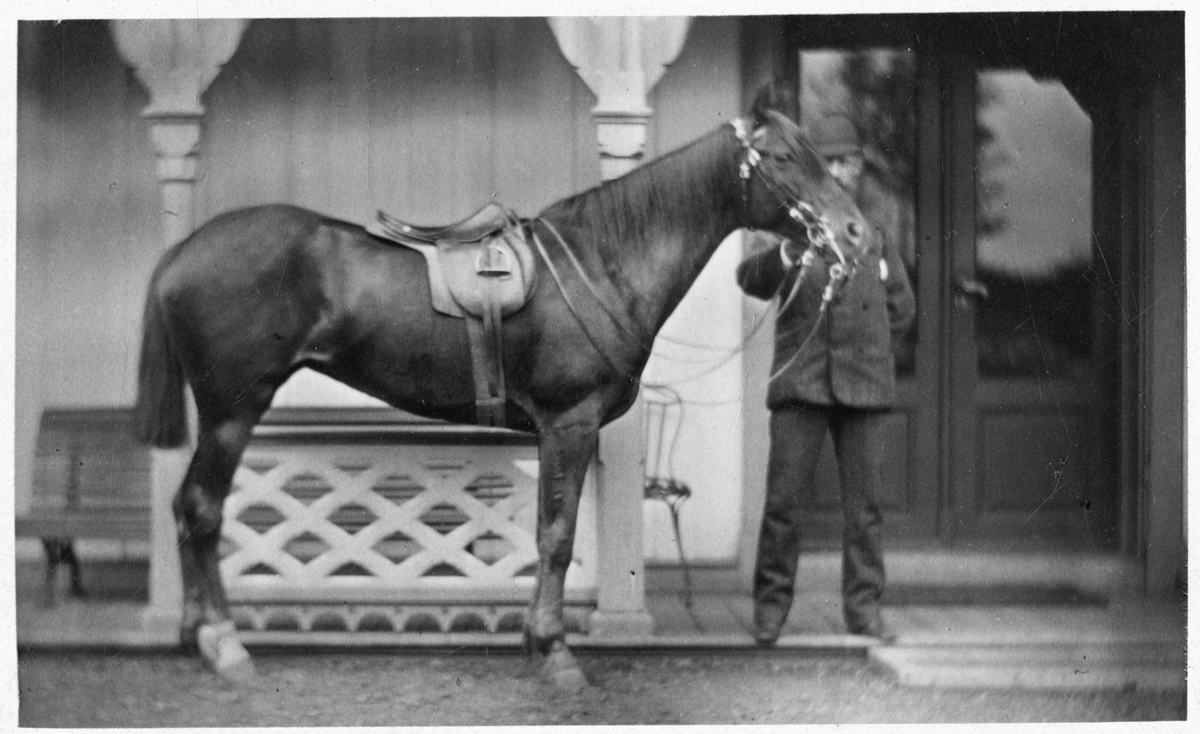 Foto av mann bak en hest. Foto er antagelig tatt på Dal gård på slutten av 1870-tallet eller tidlig 1880-tallet