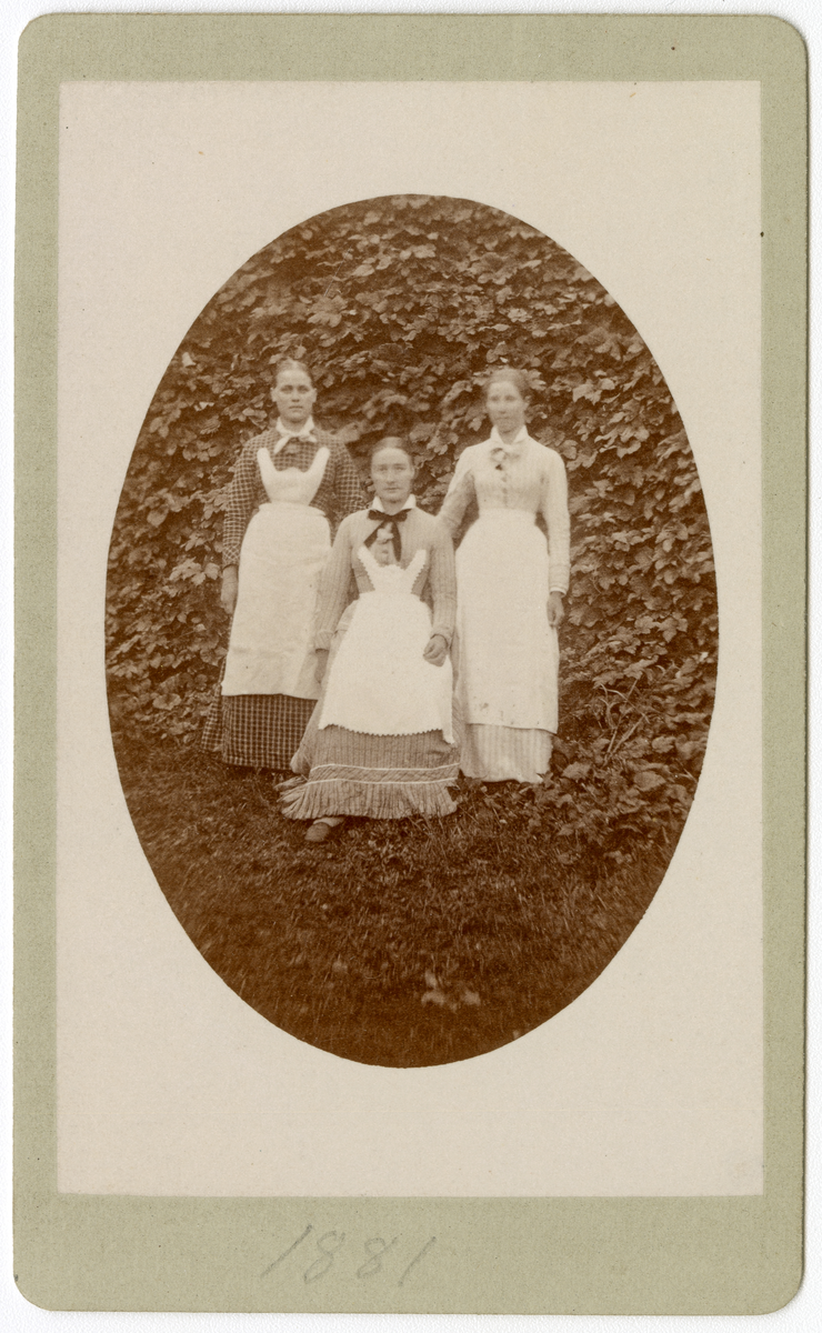 Foto av tjenestepiker på Dal gård i 1881