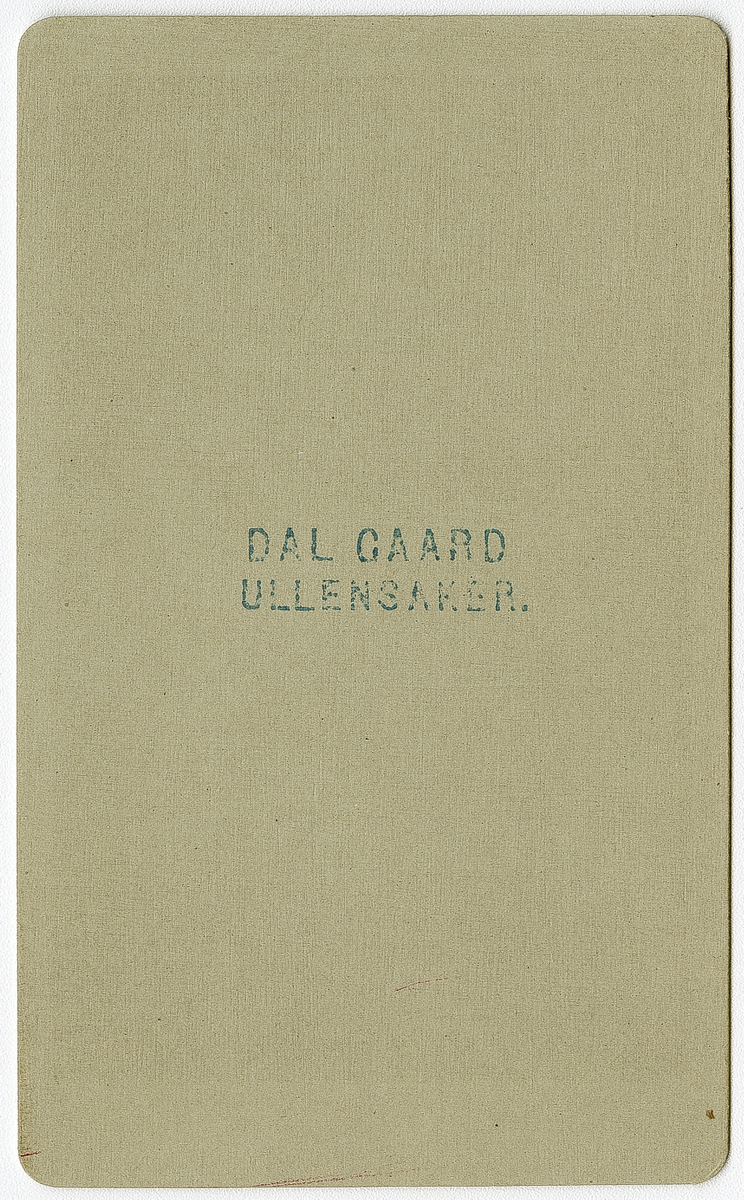Foto av tjenestepiker på Dal gård i 1881