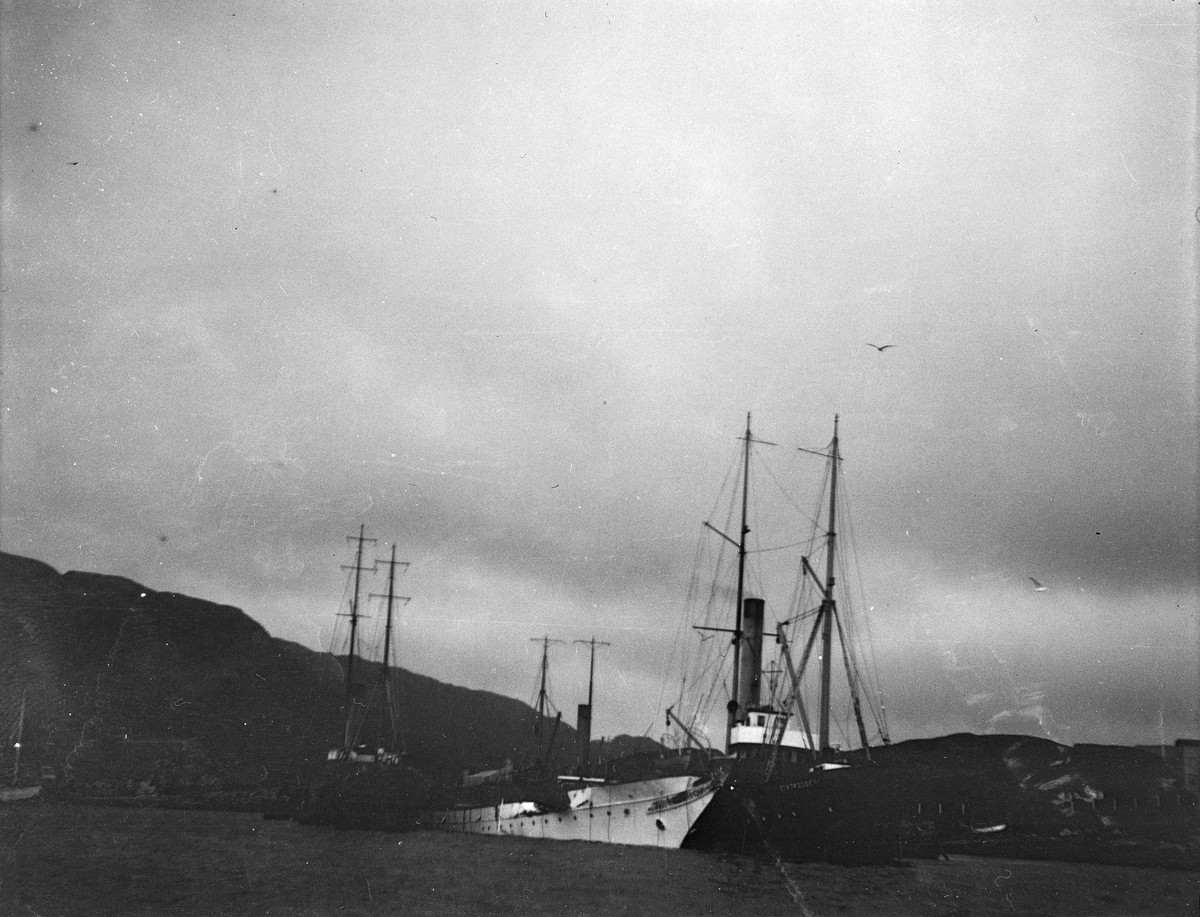 Nordenfjeldske Bjergningskompanis bjergningsdampere Stærkodder og Parat