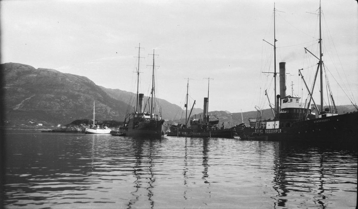 Nordenfjeldske Bjergningskompanis bjergningsdampere Stærkodder og Parat