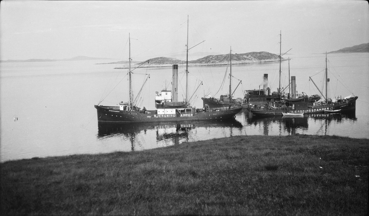 Nordenfjeldske Bjergningskompanis bjergningsdampere Stærkodder og Parat