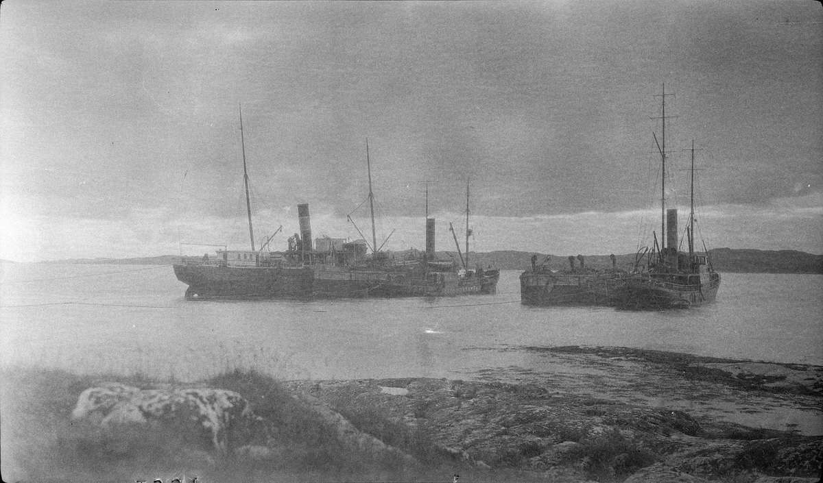 Nordenfjeldske Bjergningskompanis bjergningsdampere Stærkodder og Parat