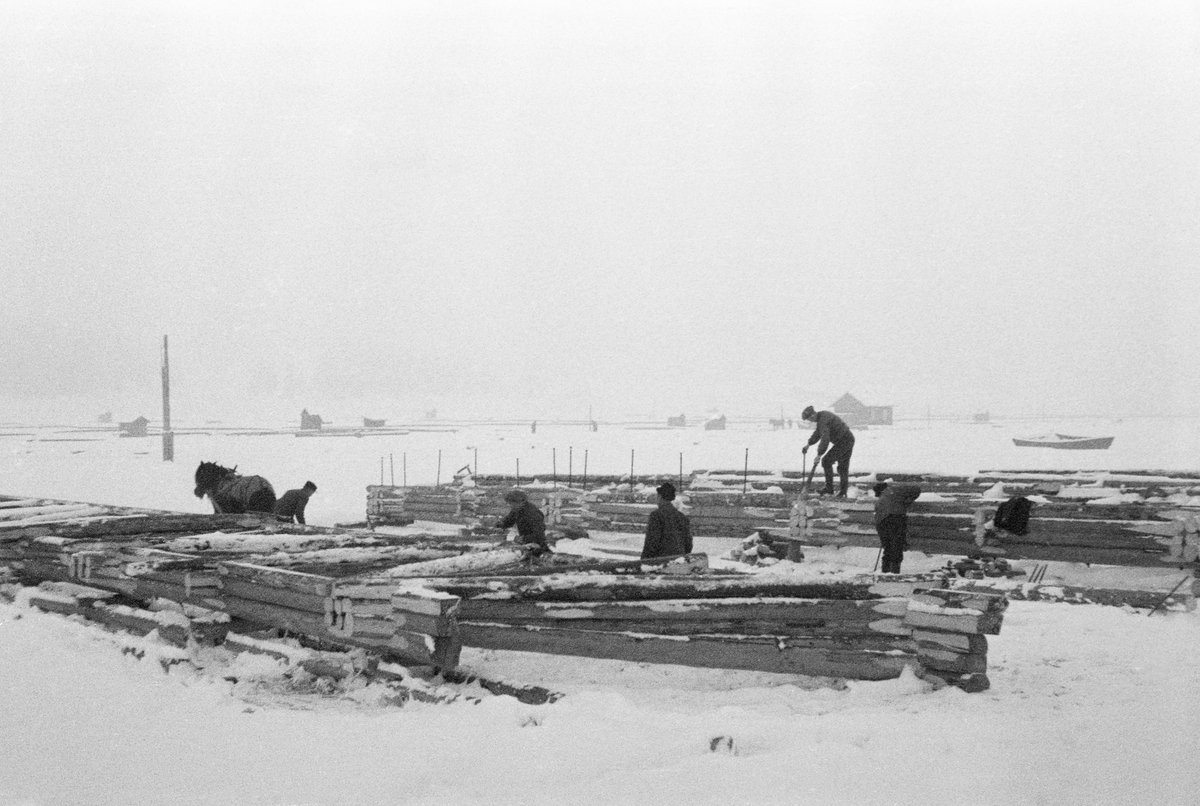 Bygging av fagverkslenser eller stivlenser til lenseanlegget på Glennetangen i Nedre Glomma, som her var grense mellom Skiptvet og Varteig kommuner, vinteren 1937. Dette var flytende stengsler som skulle holde seg rette sjøl om de ble utsatt for stort trykk, og som i mange tilfeller også skulle bære gangbaner som kunne tjene som arbeidsplattformer for fløterne. I dette tilfellet var lenseelementene bygd som rammer med tre-fire omfar med tømmer, avstivet med innvendige skråband i cirka 45 graders vinkel. Her ble komponentene bygd på isen vinterstid, men så snart isen smeltet ble de til flytende komponenter som kunne kjedes sammen i det som var i ferd med å bli et nytt sorterings- og moseanlegg (bunting av tømmer). Dette fotografiet viser tømmermennene i arbeid.