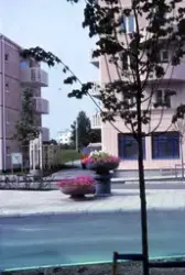 Blomplantering i Ladugårdsängen, 1990-tal