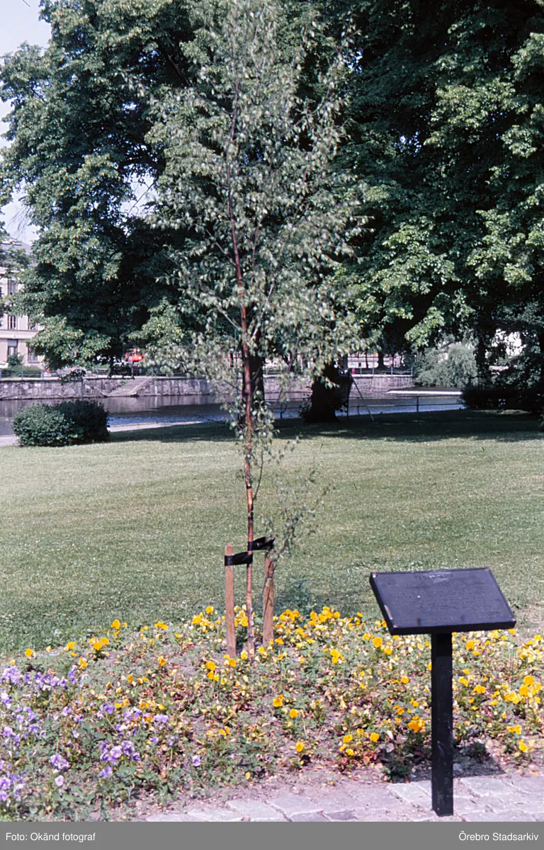 Riksträdet i Slottsparken