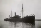 Lastångfartyet ELLEN av Falkenberg i Åhus hamn, maj 1922.