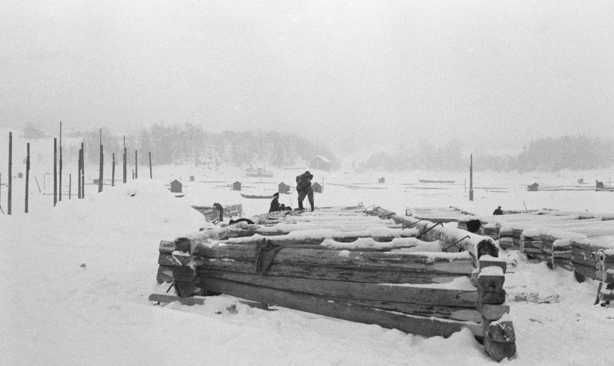 Bygging av fagverkslenser eller stivlenser til lenseanlegget på Glennetangen i Nedre Glomma, som her var grense mellom Skiptvet og Varteig kommuner, vinteren 1937. Dette var flytende stengsler som skulle holde seg rette sjøl om de ble utsatt for stort trykk, og som i mange tilfeller også skulle bære gangbaner som kunne tjene som arbeidsplattformer for fløterne. I dette tilfellet var lenseelementene bygd som rammer med tre-fire omfar med tømmer, avstivet med innvendige skråband i cirka 45 graders vinkel. Her ble komponentene bygd på isen vinterstid, men så snart isen smeltet ble de til flytende komponenter som kunne kjedes sammen i det som var i ferd med å bli et nytt sorterings- og moseanlegg (bunting av tømmer). Dette fotografiet viser tømmermennene i arbeid.