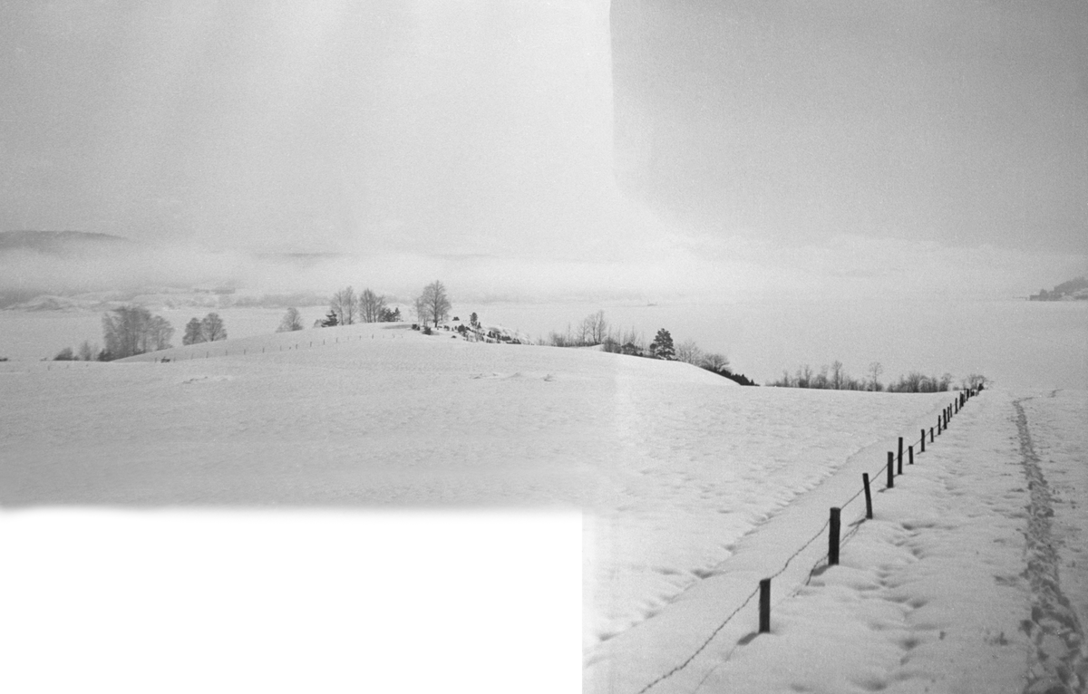 Vinterlandskap ved Ulvetangen i Skiptvet, på vestsida av Glomma, et par kilometer ovenfor Glennetangen, der Glomma fellesfløtingsforening da dette fotografiet ble tatt, i 1937, var i ferd med å bygge et nytt lenseanlegg, Bildet er tatt over et dyrket areal mot elva, langsetter et piggtrådgjerde. Varteig-sida av elva lå skjult i tåke. Dette er den høyre halvdelen av et todelt panoramaopptak.