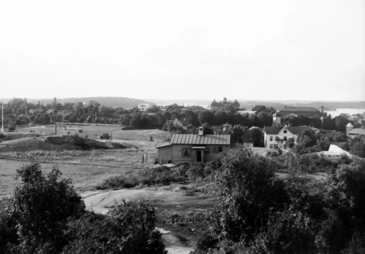 Panorama