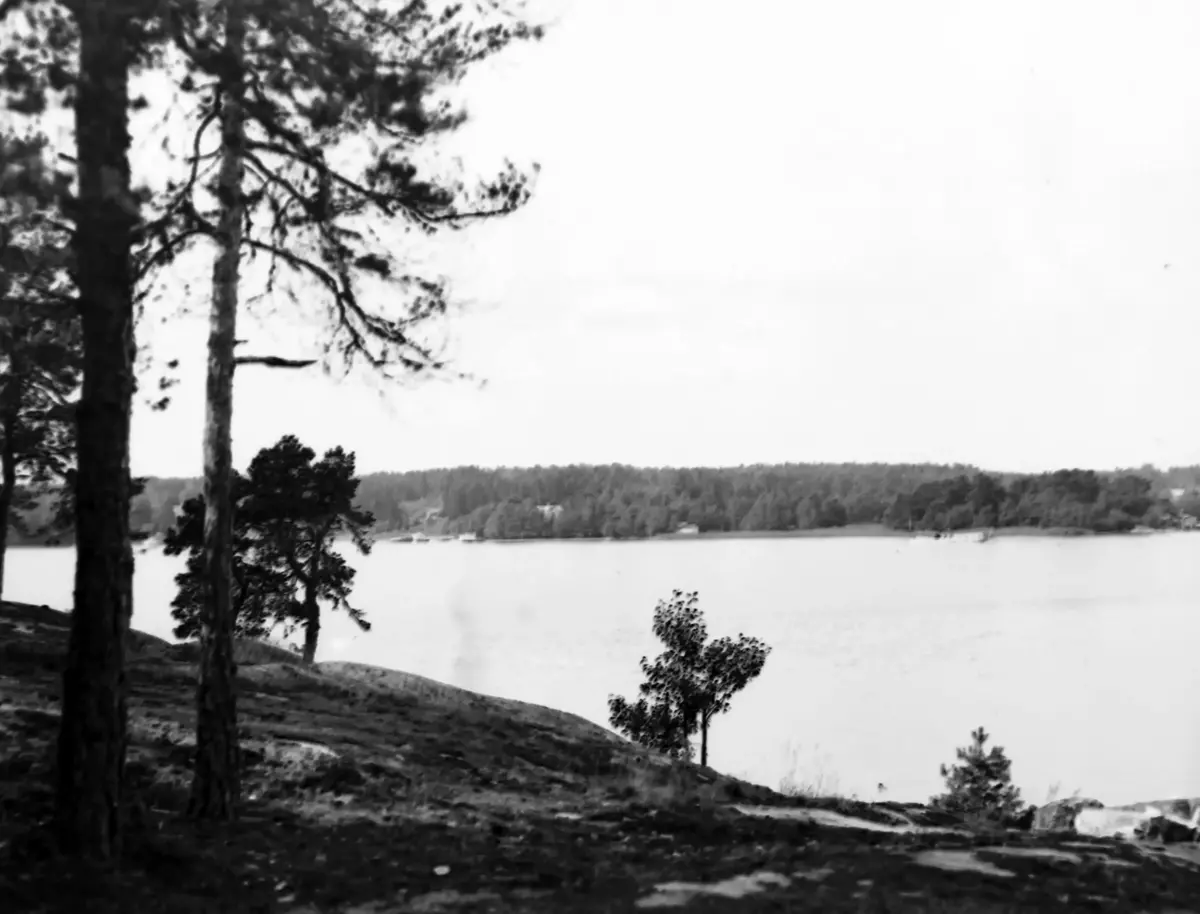 Utsikt från