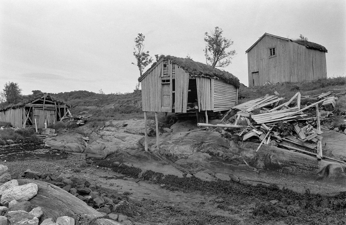 Leirfjord, Reines. To brygger og et naust på Reines. Brygga til høyre, Reinesbrygga, har senere blitt restaurert og blitt museumsbygning. Brygga midt i bildet falt etterhvert sammen og forsvant. Naustet til venstre i bildet har falt sammen, men rester kan sees i landskapet.