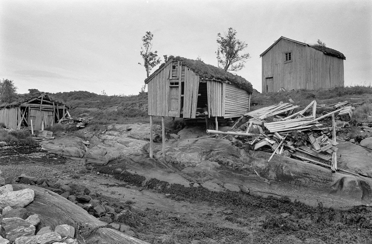 Leirfjord, Reines. To brygger og et naust på Reines. Brygga til høyre, Reinesbrygga, har senere blitt restaurert og blitt museumsbygning. Brygga midt i bildet falt etterhvert sammen og forsvant. Naustet til venstre i bildet har falt sammen, men rester kan sees i landskapet.