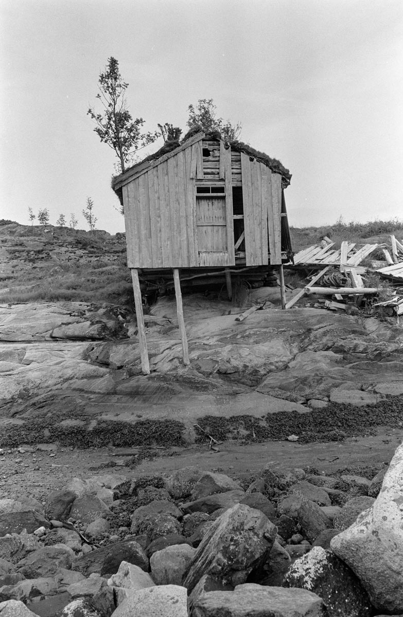 Leirfjord, Reines. Falleferdig brygge på Reines, med rester fra en annen brygge til høyre på 1970-tallet.