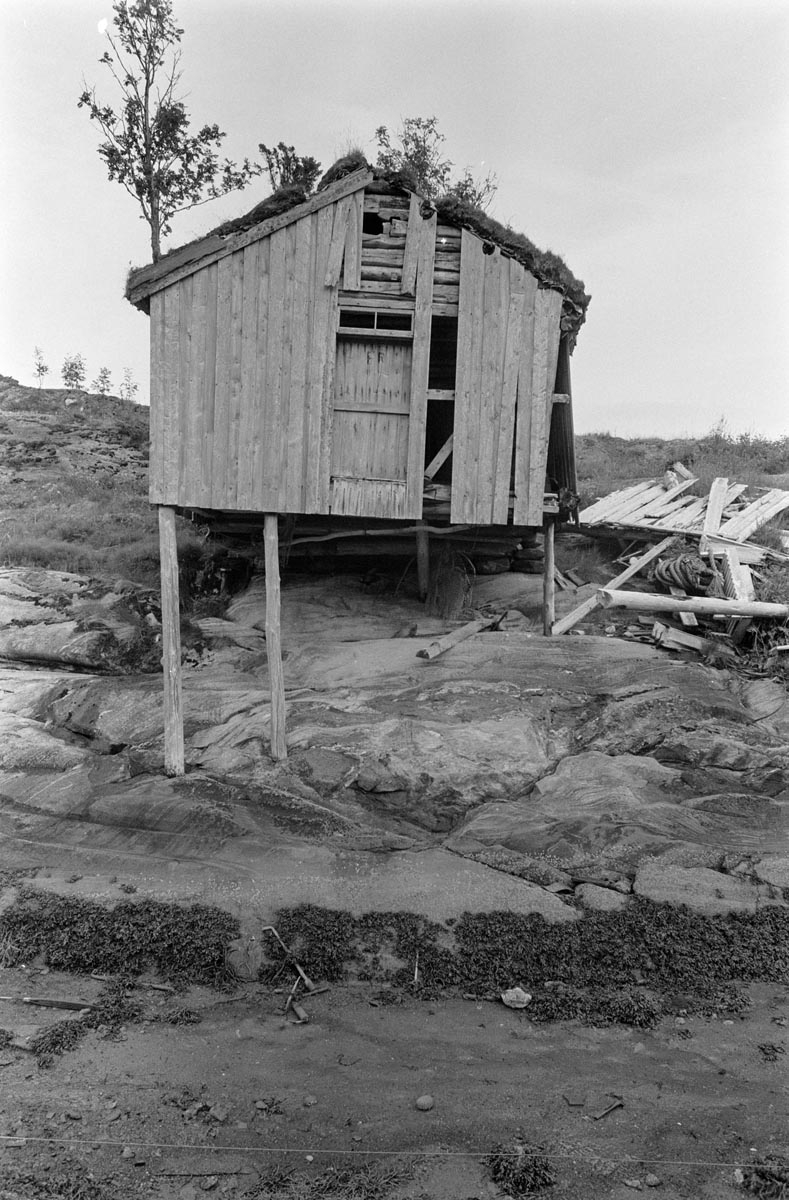 Leirfjord, Reines. Falleferdig brygge på Reines, med rester fra en annen brygge til høyre på 1970-tallet.