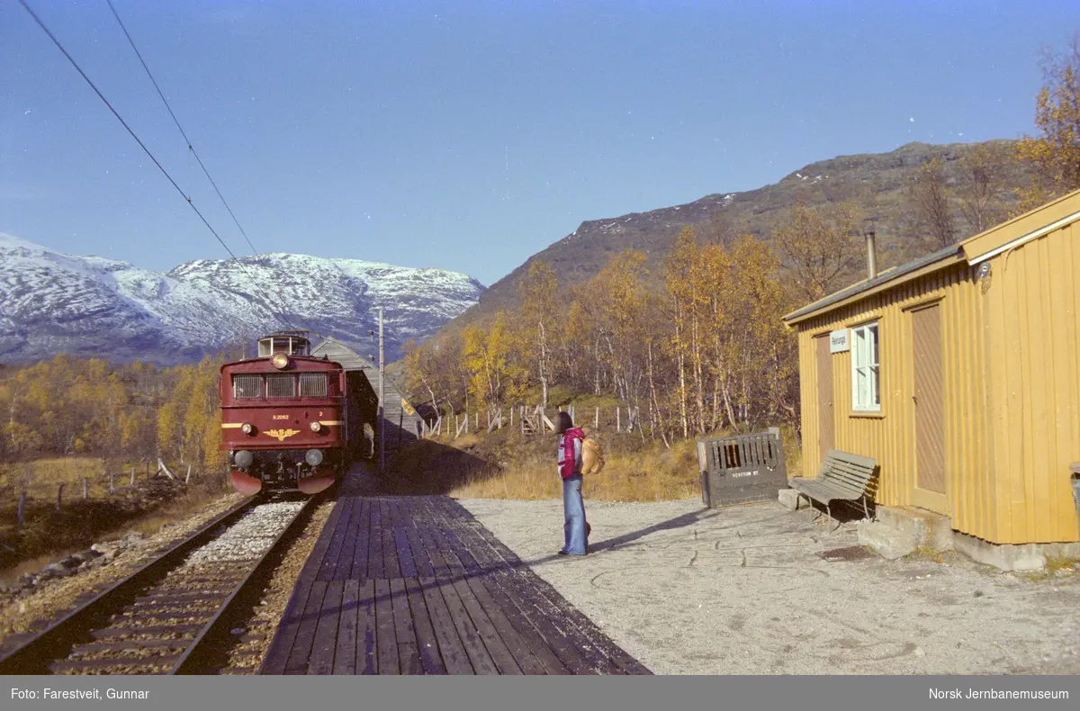 Elektrisk lokomotiv El 9 2062 med persontog til Myrdal på Reinunga holdeplass