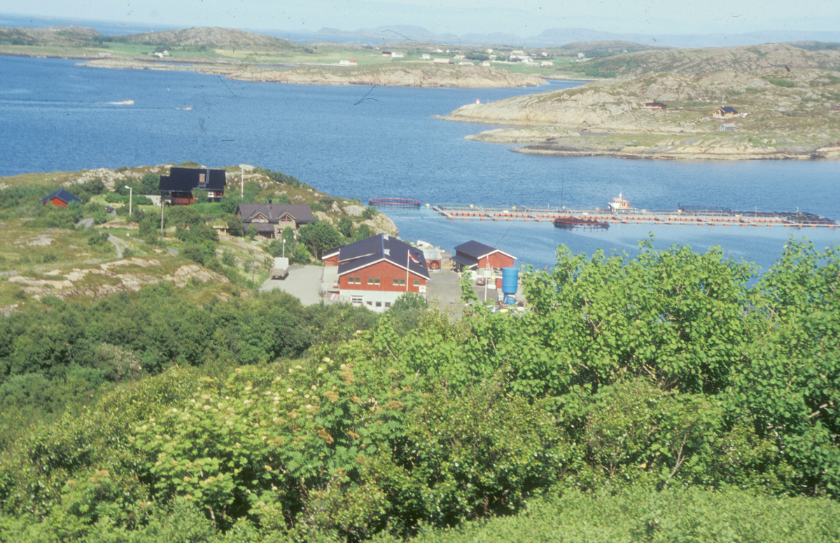 Bjugn, Simo : Oversiktsbilde, oppdrettsanlegg med forskjellige typer merder på vannet, landbasen ca. midt i bildet.