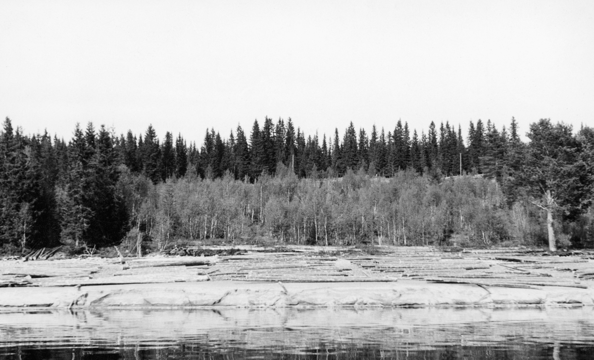 Tømmer på land ved Søby ved Osensjøen sommeren 1941. Tømmeret lå fortsatt i strandsona. Bakenfor var det en skråning med forholdsvis ung lauvskog.  Øverst på bakkekammen skimtes en veg med «lysstolper» (stolpebåren elektrisk ledning).  For øvrig preges landskapet av tett barskog. I 1941 ble 150 683 tømmerstokker innmeldt til fløting fra Osensjøens strender. Dette utgjorde om lag 30 prosent av leveransene i Osenvassdraget. Det øvrige virket kom  fra tilløpselvene og fra avløpselva Søndre Osa med sidevassdraget Østre Æra. 1941 ble for øvrig en helt spesiell fløtingssesong i Osen. Glommens og Laagens brukseierforening tappet nemlig sjøen kraftig foregående vinter. Ettersom det var lite snø og en kjølig vår med lite nedbør, tok det lang tid å fylle sjøen igjen. Her lå det fortsatt tømmer i ei tørrlagt strandsone, sjøl om bildet er tatt i juni. Tappinga av fløtingsvirke gjennom Osdammen ble ikke startet før 4. august. Dette innebar etterfløting i Glomma sør for Rena, der østerdalstømmeret for lengst hadde passert, og ikke ubetydelige ekstrakostnader for Glomma fellesfløtingsforening. Utgiftene knyttet til utislagsarbeidet langs Osensjøens strender ble en forhandlingssak mellom skogeierne og Brukseierforeningen.