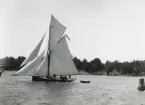 Rakstävade kuttern OLWEN, Finland, omkring sekelskiftet 1900.