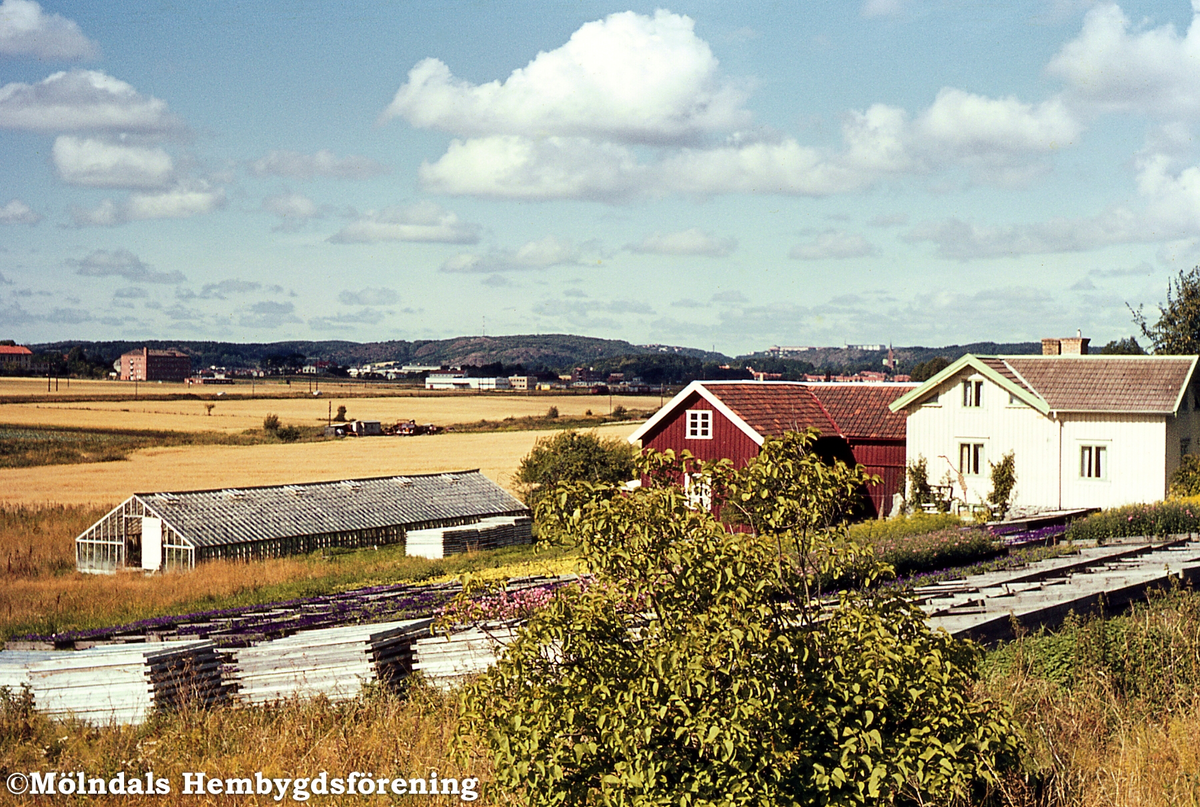 Gården Hjorthall i Brännås, Mölndal, år 1965. Gården är numera hästgård.