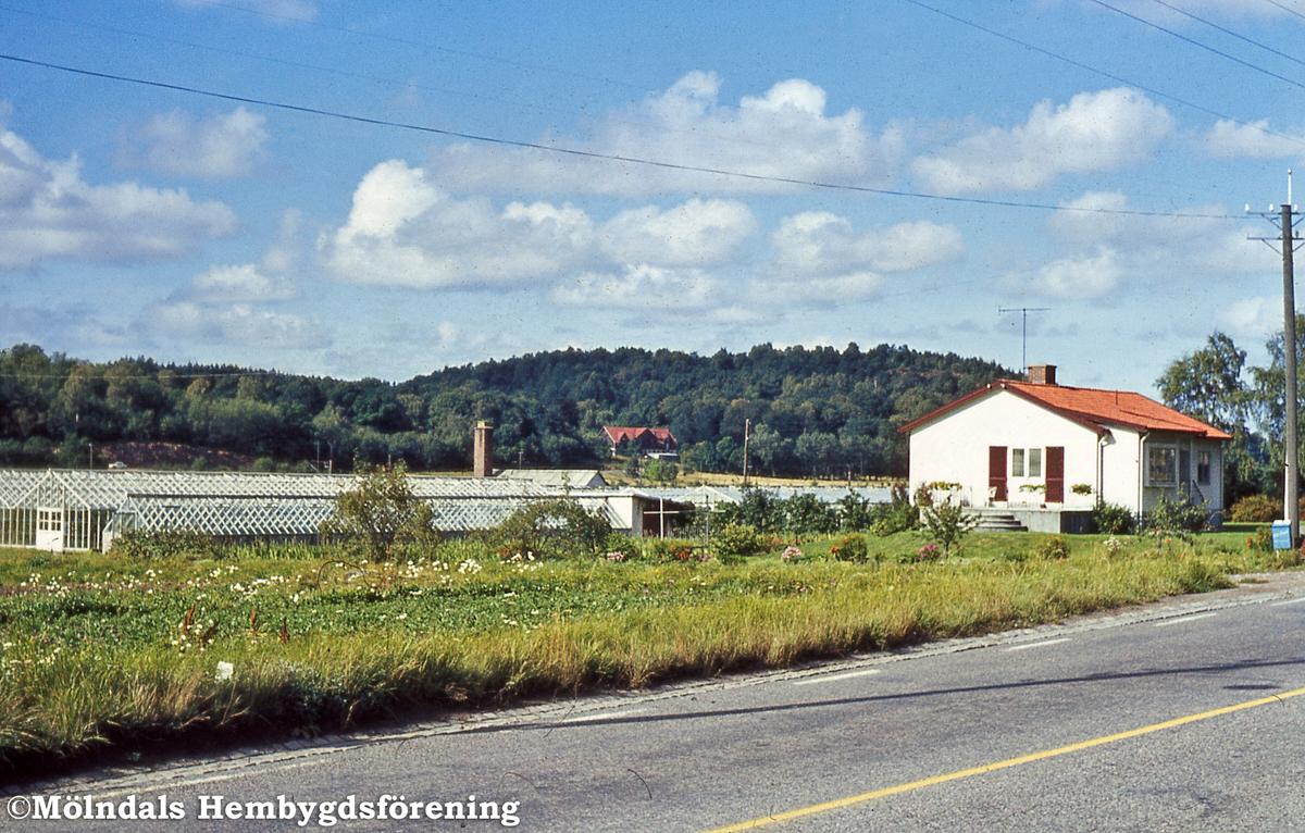 Gården Hjorthall i Brännås, Mölndal, på 1960-talet.
