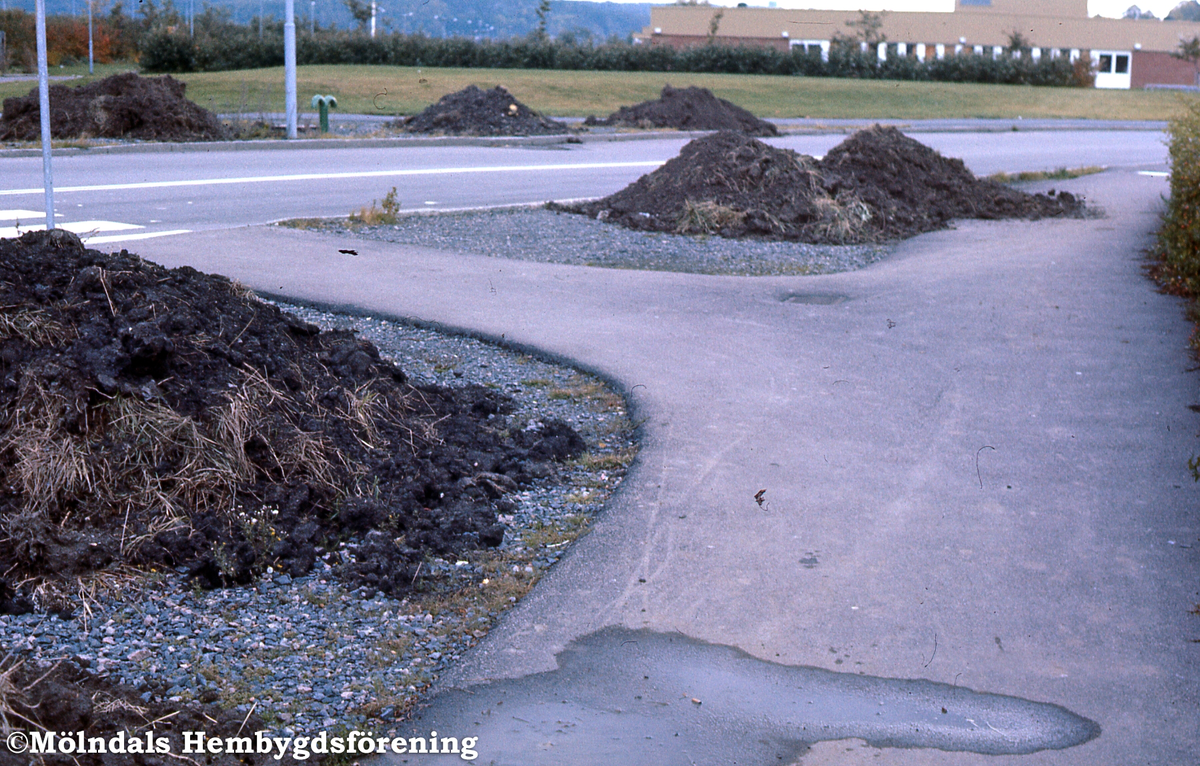 Jordhögar vid Lantbruksgatan - Frejagatan i Mölndal, år 1976. Skall det växa någonting i så litet jord?