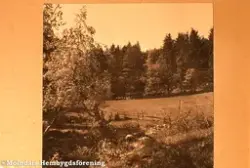 Mellangården 1 i Fässberg, Mölndal. Okänt årtal. Ett parti av beteshagen. Knut Berg målade en tavla av detta motiv.
