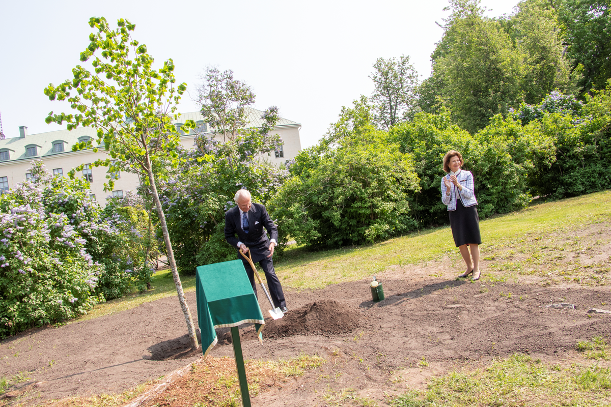 Den 25 maj år 2023 besökte kungaparet Linköping. Detta för att fira H.M. Konungens 50 år på tronen och att det har gått 500 år sedan Gustav Vasa valdes till kung.
I slottsträdgården i Linköping planterade kungen och Silvia en parklind till minne av dagen.