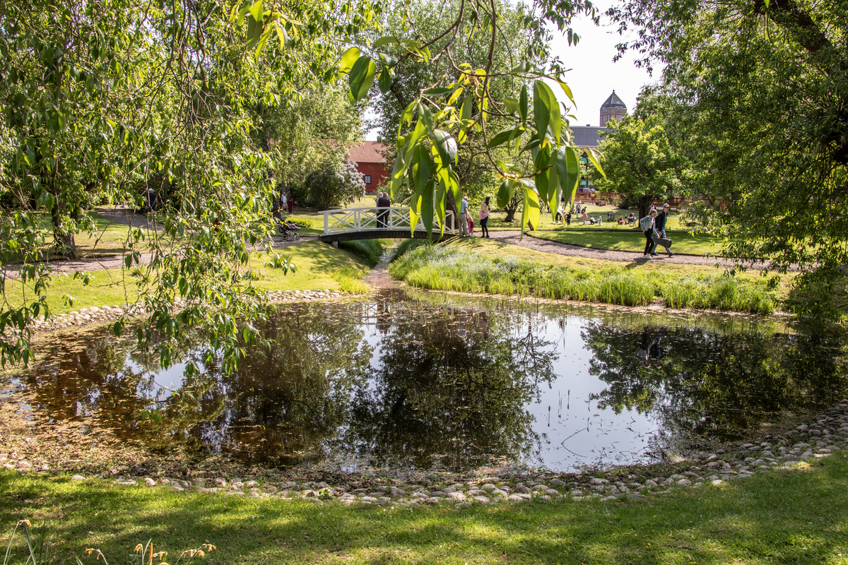 Den 25 maj år 2023 besökte kungaparet Linköping. Detta för att fira H.M. Konungens 50 år på tronen och att det har gått 500 år sedan Gustav Vasa valdes till kung. Under kungabesöket hölls slottsträdgården vid Linköpings slott öppen för allmänheten. Här ser man dammen vid slottsträdgården.