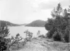 Naturstudie ur Didrik von Essens fotografiska kvarlåtenskap. Från sjön Åsunden med vy från Sundsö mot Ulvesund.