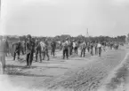 En stor samling män jobbar för hand med väganläggning i Centraleuropa under första världskriget. Utrustade med krattor och spadar. Tillhörande Österrike-Ungern.