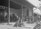 Militärer från Österrike-Ungern vid skjutbana, cirka 1914-1915. Gevär uppställda i bakgrunden.