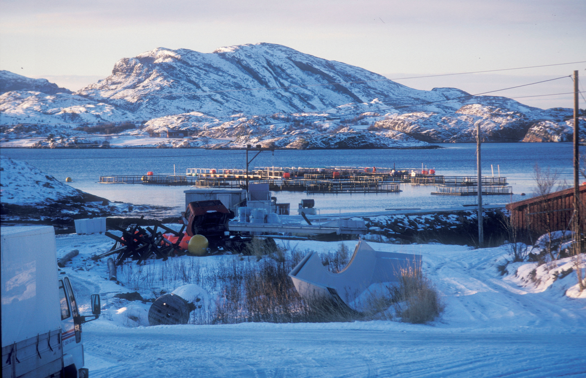 ST Stamfisk A/S, Bjugn, 1988 : Utsikt mot oppdrettsanlegg på sjøen, kystlandskap i bakgrunnen.