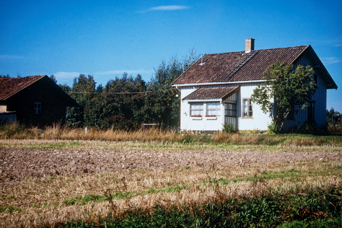 Hamar, Østre Klukstuen. Husmannsplassen var en av 9 som hørte til under Børstad gård. Aksel Aspeli jobbet på Børstad gård det meste av sitt yrkesaktive liv og bodde på plassen Klukstuen sammen med sin kone Berglijot Aspeli. De fikk etterhvert 10 barn. Ordfører Odd Aspeli vokste opp her,