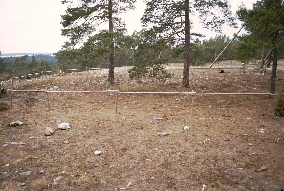 Labyrinten Rösaring.