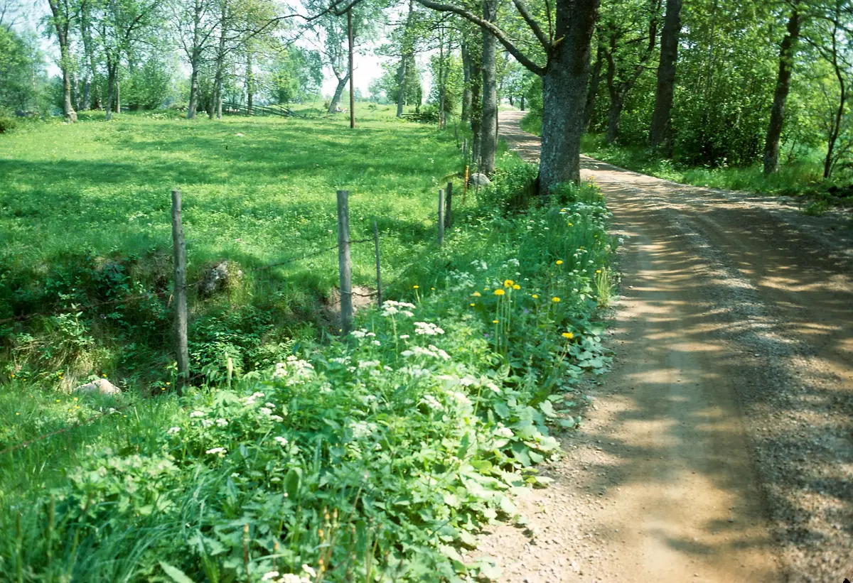 Vägen mot Väsby.