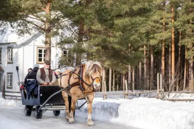 Hest i museumsparken, vinter