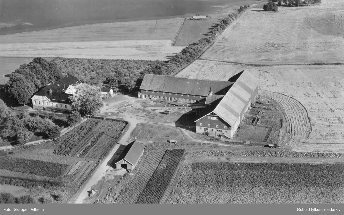 Thorsø herregård i Torsnes, Borge, flyfoto 17. sep. 1951.
