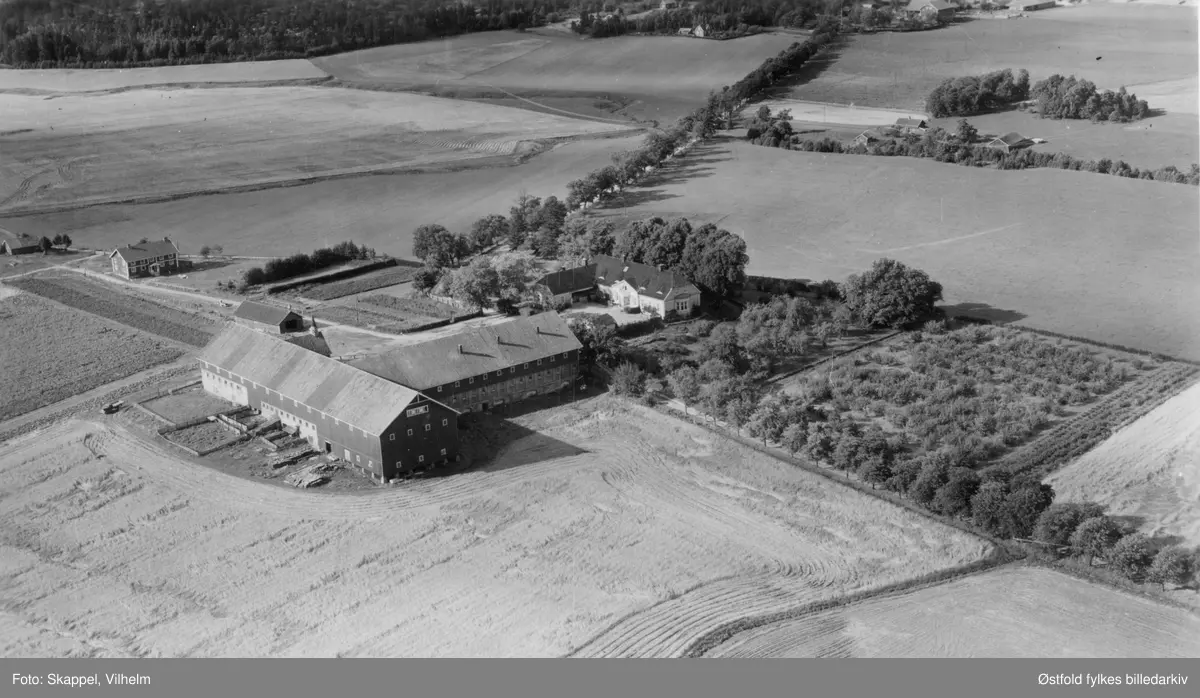 Thorsø herregård i Torsnes, Borge, flyfoto 17. sep. 1951.