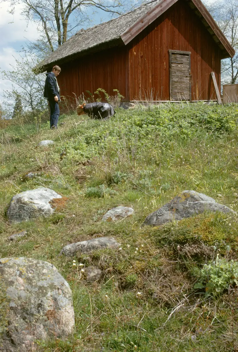 Viby; S:t Olof. Terrasserad grund i norr