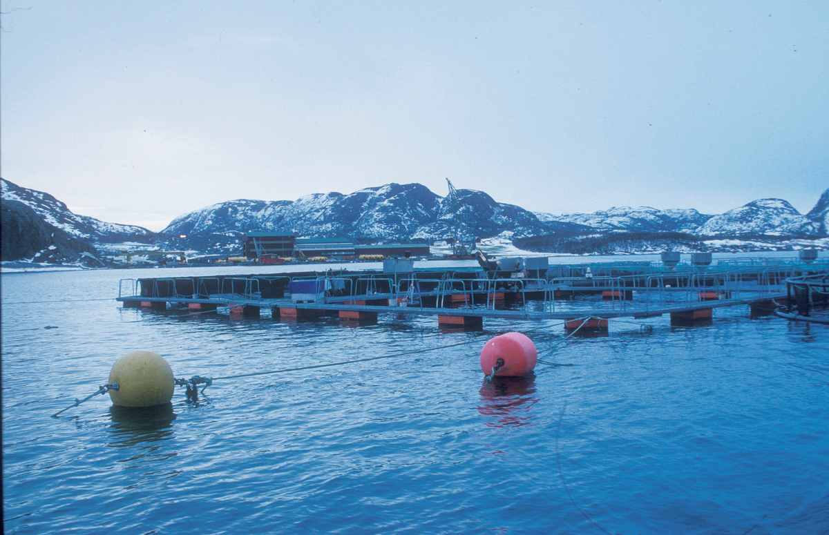 Bjugn, feb. 1995, SIMO/ST-Stamfisk? : Oppdrettsmerder på sjøen, med et industriområde i bakgrunnen.