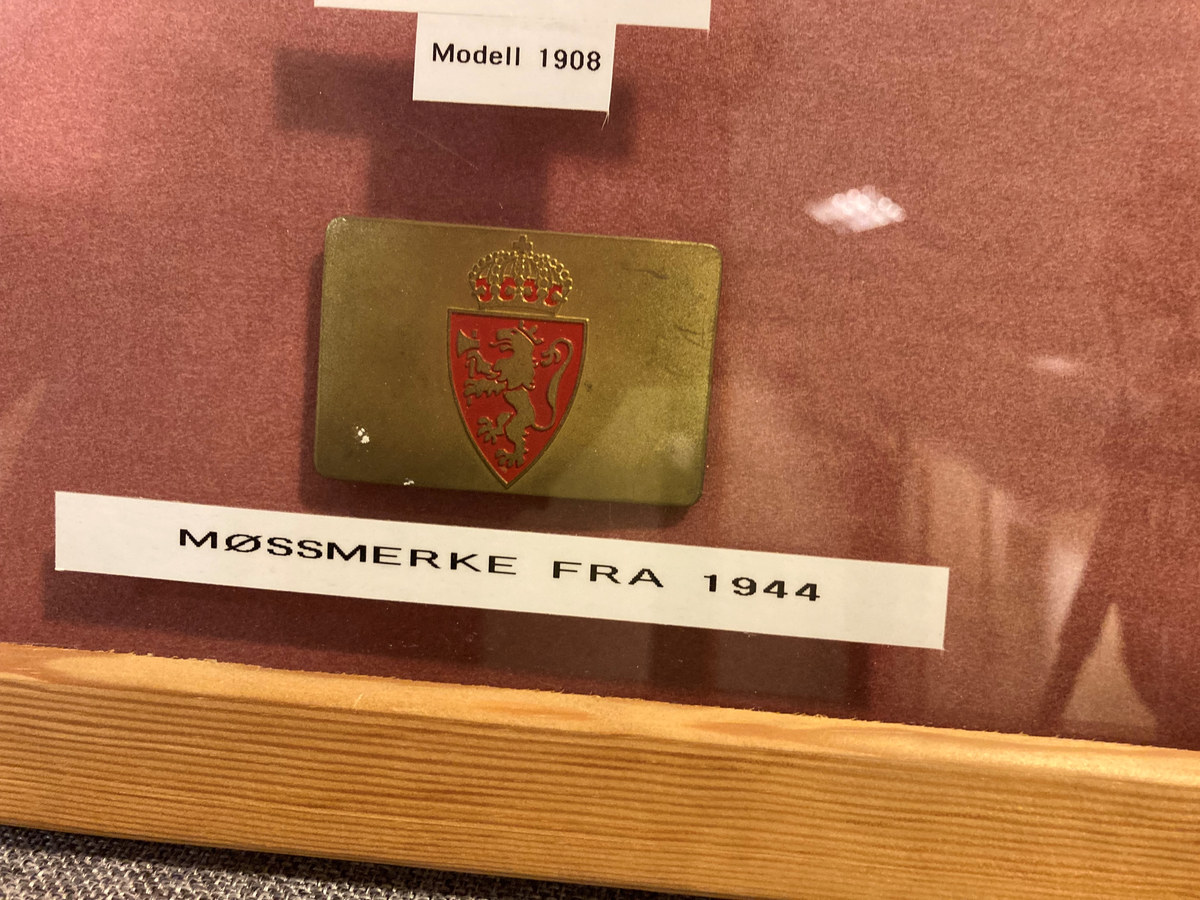 Fem polititegn montert i glass og ramme. 

Polititegn modell 1908 fra Tingvoll
Polititegn modell 1908 fra Kvernes
Polititegn modell 1908 fra Sunndal
Polititegn modell 1937 fra Kristiansund
Luemerke for polititroppene/svensketroppene modell 1944