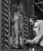 Varuautomat för strumpbyxor. Fröken Linköping: Ulla Andersson, köper strumpbyxor i en automat år 1952. Mode. 
...

385 bilder om Linköping på 1950-talet från tidningen Östgötens arkiv. Framtidstro och optimism är ord som sammanfattar Linköping på femtiotalet. Årtiondet innebar satsningar för att förbättra linköpingsbornas livsvillkor. Bostadsfrågan och trafiklösningarna dominerade den lokalpolitiska agendan.
Bilderna digitaliserades år 2013.