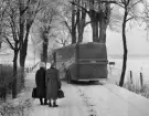 Livsmedelsbuss som rullade i Linköping 1951. Här är två damer vid Konsum på hjul. Matbutik. Matbuss. Allé. 
...

385 bilder om Linköping på 1950-talet från tidningen Östgötens arkiv. Framtidstro och optimism är ord som sammanfattar Linköping på femtiotalet. Årtiondet innebar satsningar för att förbättra linköpingsbornas livsvillkor. Bostadsfrågan och trafiklösningarna dominerade den lokalpolitiska agendan.
Bilderna digitaliserades år 2013.